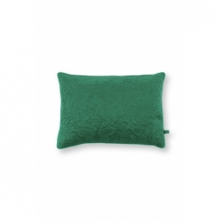 Coussin1 - Vert - 50x35cm