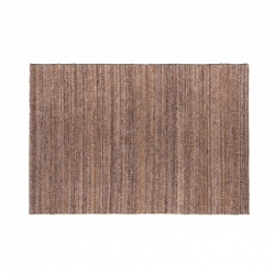 Tapis EVELIEN Marron 300x200 cm