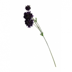 Branche Scabiosa - 75cm