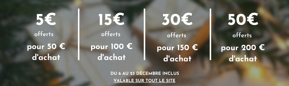 Offre de Noël